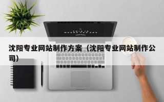 苍南沈阳专业网站制作方案（沈阳专业网站制作公司）